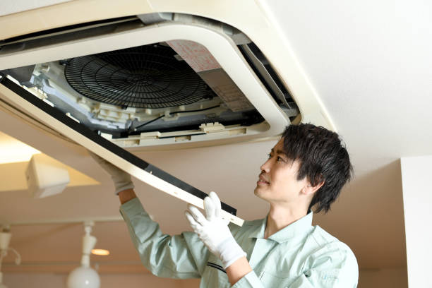 Best Air Duct Cleaning Near Me  in Capac, MI